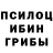 Псилоцибиновые грибы Magic Shrooms chrystyan bee