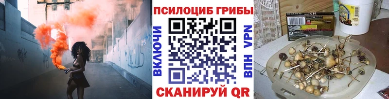 Галлюциногенные грибы GOLDEN TEACHER  Усть-Джегута 