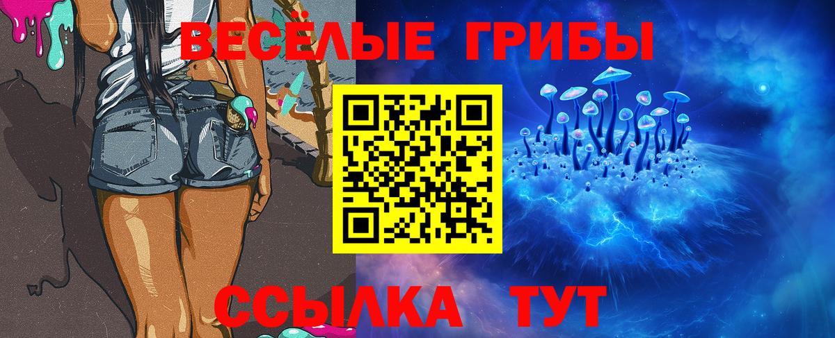 Галлюциногенные грибы Psilocybine cubensis Усть-Джегута