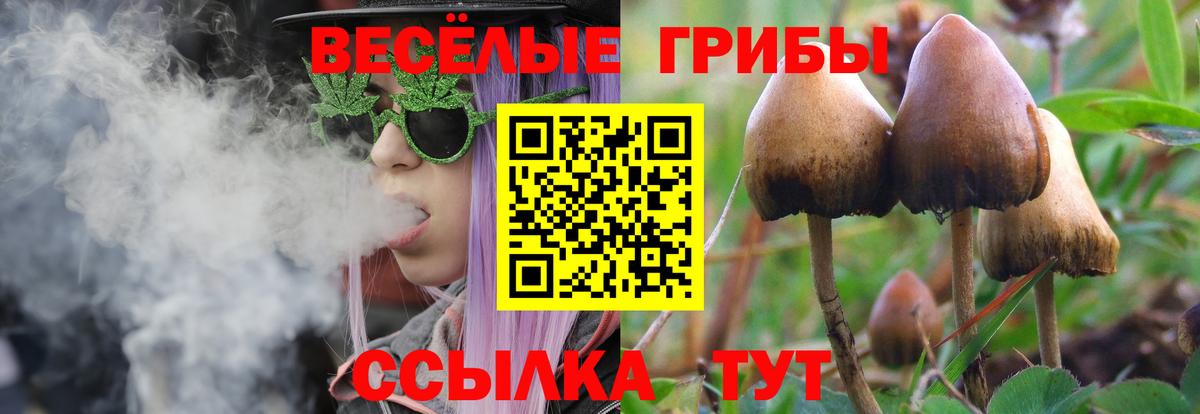 Галлюциногенные грибы Cubensis  Вход с VPN  Усть-Джегута 